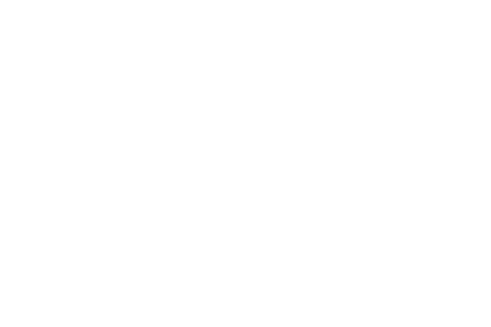 2005_edif