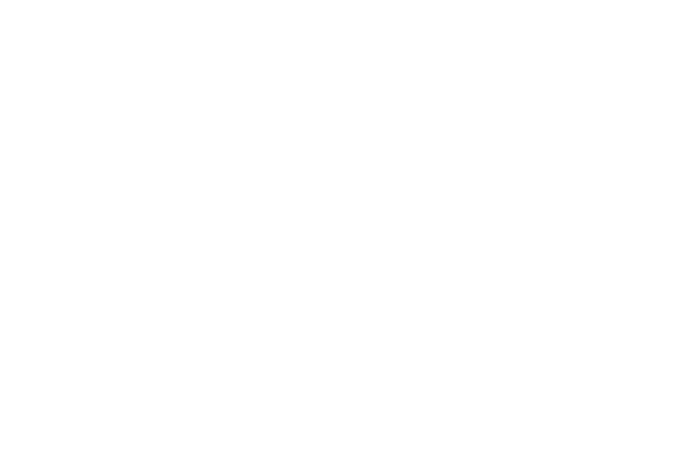 2008-2010_Pieve-Invillino-prosp-est