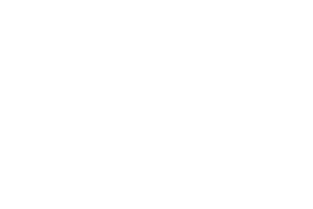 2008-2010_Pieve-Invillino-prosp-nord