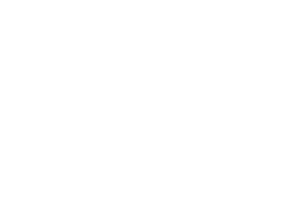 2008-2010_Pieve-Invillino-prosp-sud