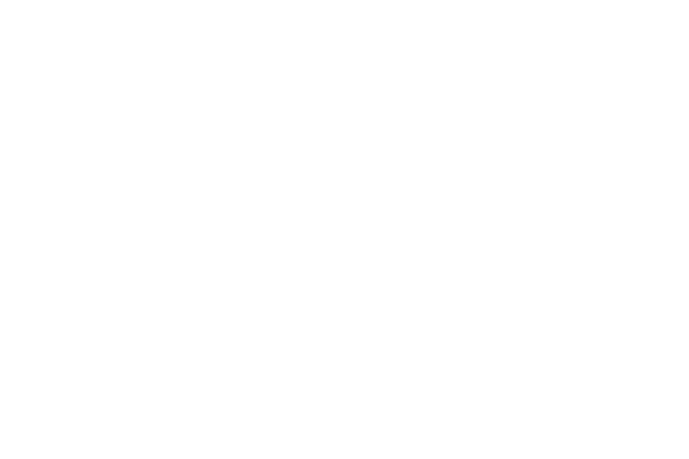 2009-2012-chiesadellaMadonna-del-Sasso-Invillino-sezione